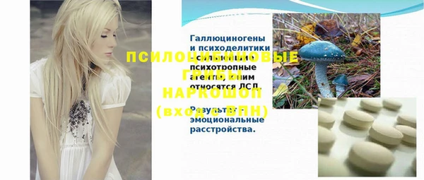 эйфоретик Ладушкин