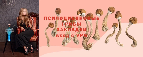 ешки Лагань