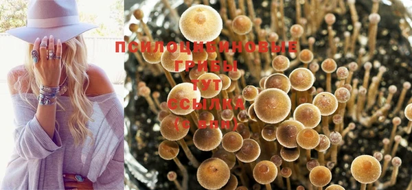 ешки Лагань