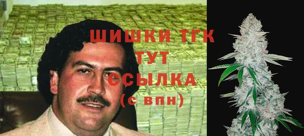 ешки Лагань