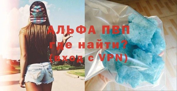 эйфоретик Ладушкин
